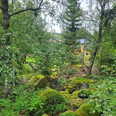 3 Bedroom With Sauna By The Sea * 瓦萨